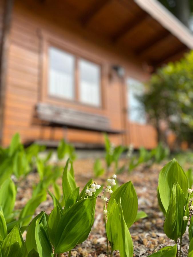 Forsthaus Langenberg Hotel Heringsdorf  Ngoại thất bức ảnh